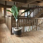 植物が元気に育つ家？