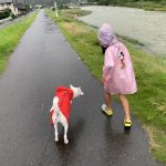 こんな雨降りに可部では、、、