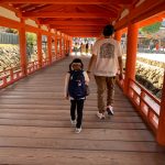 弾丸すぎる紅葉狩り～！