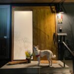 だんだん仕事モードに～