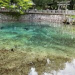 一泊二日の弾丸旅行！